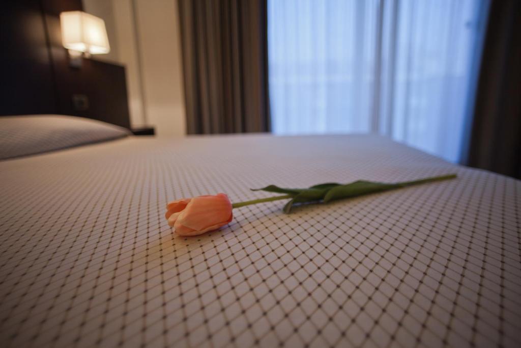 Hotel Principe Residence Vasto Bilik gambar
